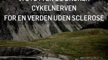 Opslag-til-sociale-medier-2021-370x200
